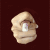 animateds1_20070722_1219660228.gif