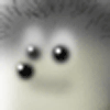 animation1_20071017_1680028494.gif