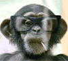 anim10_20060912_1572018518.gif