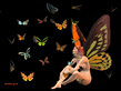 fairy_butterflies.jpeg