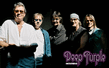 Deep_Purple.jpeg