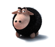 black_sheep.jpg