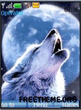 1221973022_wolf_1.jpg