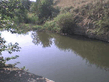 DSC00054.jpg