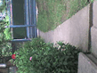 DSC00031.jpg