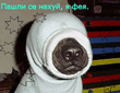 Feia.jpg