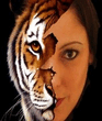 Tiger_Half_Face.jpg
