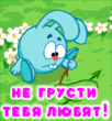 2608689_3.gif