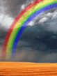 nature__29__134.gif
