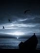 Blue_Morning.jpg