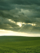Landscape.jpg