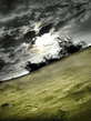 p_37150_37060.jpeg
