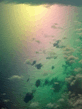 Rainbow_Reflections.jpg