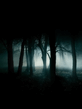 The_Dark_Forest.jpg