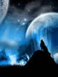Wolf_Under_Moon.jpg