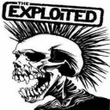 exploited.jpg