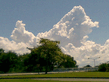 11102008.jpg