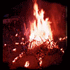 5277.gif