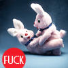 5332.gif