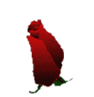 Anna.gif