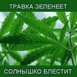 1e0ee0f8970e68aea1d33b44ff718.jpg