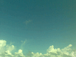 19092008_005_.jpg