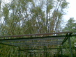 26092008_003_.jpg