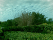 26092008_009_.jpg
