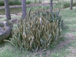 26092008_011_.jpg