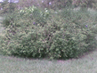 26092008_013_.jpg