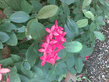 26092008_026_.jpg