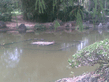 26092008_030_.jpg