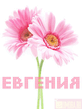 Евгения.jpg