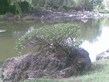 26092008_031_.jpg