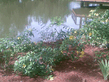 26092008_032_.jpg