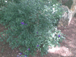 26092008_033_.jpg