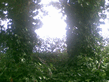 26092008_034_.jpg