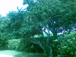 26092008_036_.jpg