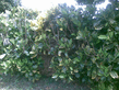 26092008_037_.jpg