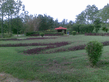 26092008_038_.jpg