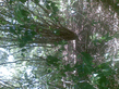 26092008_039_.jpg