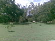 26092008_040_.jpg