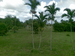 26092008_042_.jpg