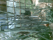 26092008_065_.jpg