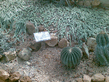 26092008_067_.jpg