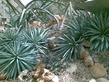 26092008_068_.jpg