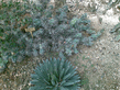 26092008_069_.jpg