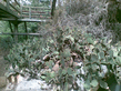 26092008_070_.jpg