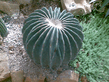 26092008_071_.jpg
