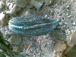 26092008_072_.jpg
